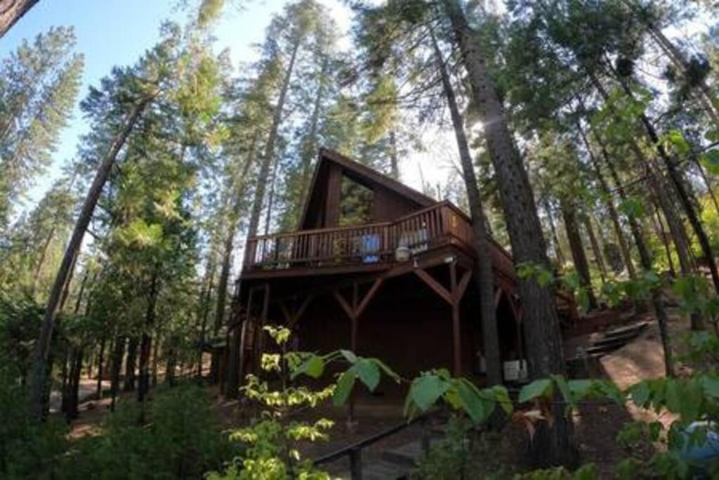 Pinecrest A-Frame Family Fun Near Dodge Ridge Villa Long Barn Ngoại thất bức ảnh